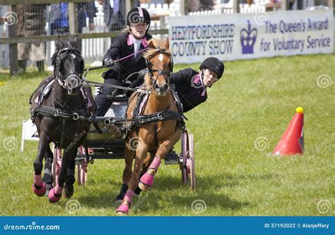 sbm photography|herts county show photographer.